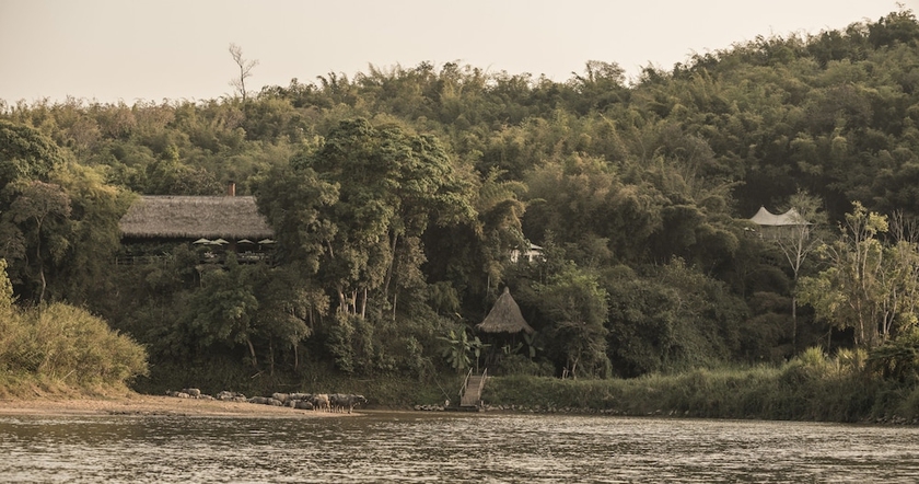 Imagen de los interiores del Hotel Four Seasons Tented Camp Golden Triangle. Foto 16