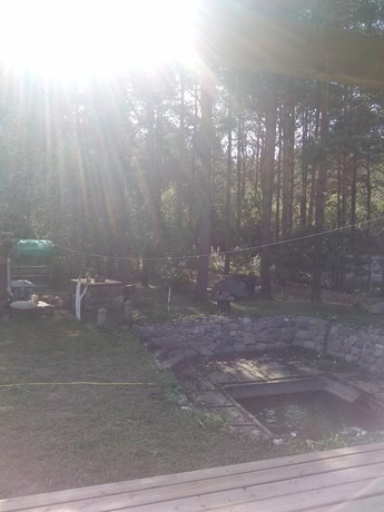 Imagen general del Hotel Foxy House. Foto 10