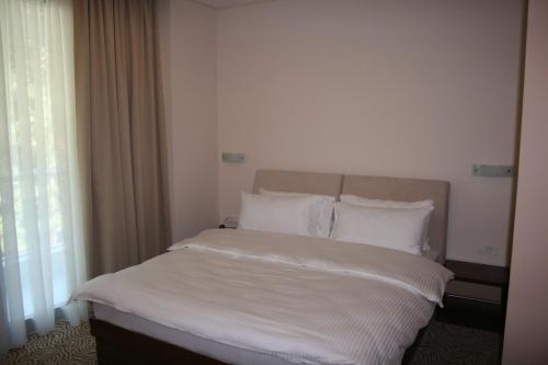 Imagen de la habitación del Hotel Franca, Bijelo Polje. Foto 6
