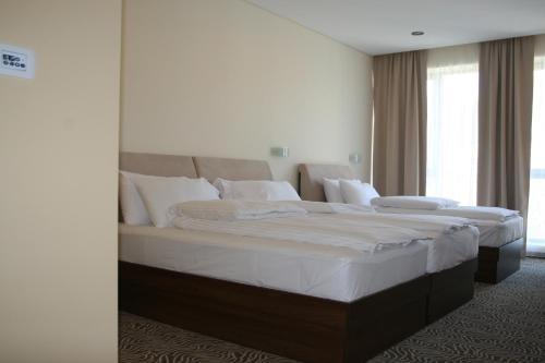 Imagen general del Hotel Franca. Foto 3