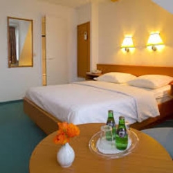 Imagen de la habitación del Hotel Francais. Foto 3