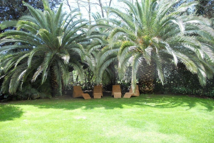 Imagen general del Hotel Franceschi. Foto 13