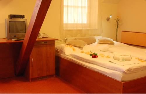 Imagen de la habitación del Hotel Francis, Frantiskovy Lazne. Foto 2