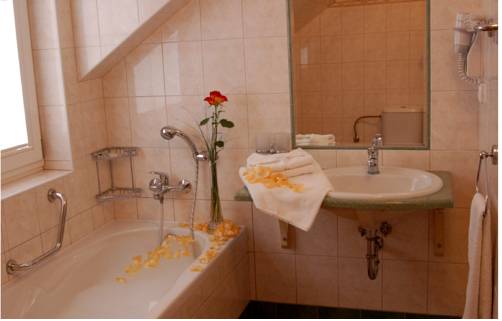Imagen de la habitación del Hotel Francis, Frantiskovy Lazne. Foto 9