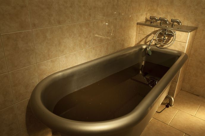 Imagen de la piscina del Hotel Francis Palace. Foto 11