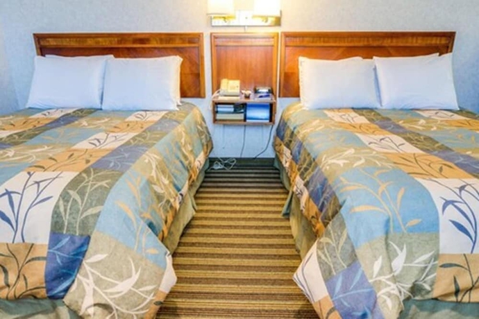 Imagen de la habitación del Hotel Francisco Bay Inn. Foto 2