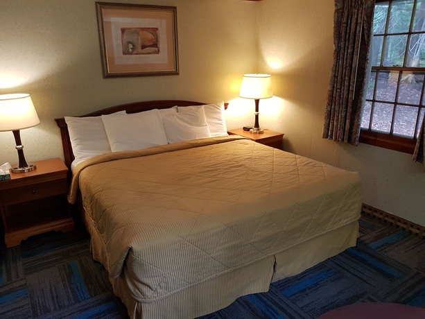 Imagen de la habitación del Hotel Franconia Notch Motel. Foto 13
