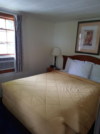 Imagen de la habitación del Hotel Franconia Notch Motel. Foto 15