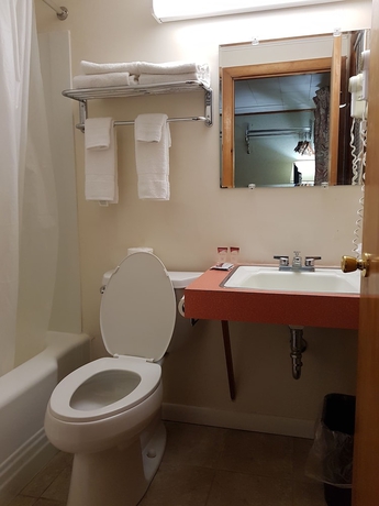 Imagen de la habitación del Hotel Franconia Notch Motel. Foto 17