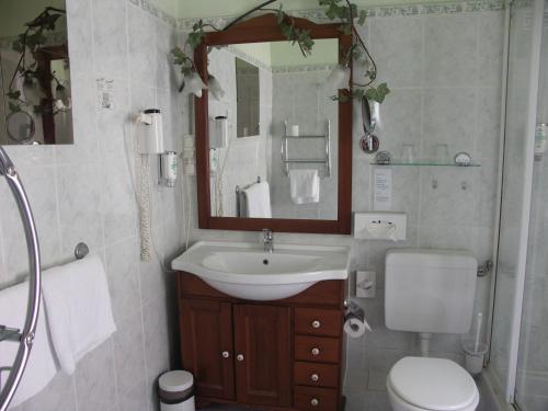 Imagen de la habitación del Hotel Frankfurt-Oder Zur Alten Oder. Foto 8