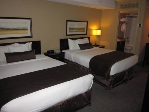 Imagen de la habitación del Hotel Franklin Suite. Foto 8