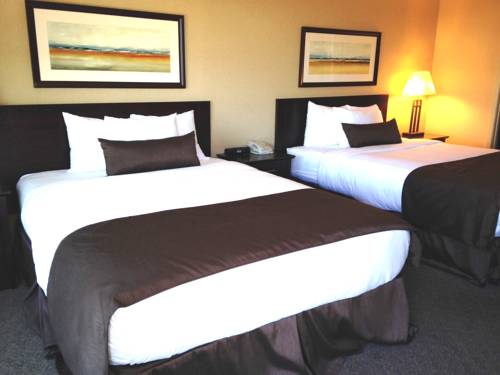 Imagen de la habitación del Hotel Franklin Suite. Foto 11