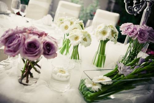 Imagen general del Hotel Frankopan. Foto 4