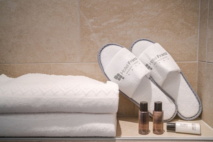 Imagen de la habitación del Hotel Franz. Foto 7