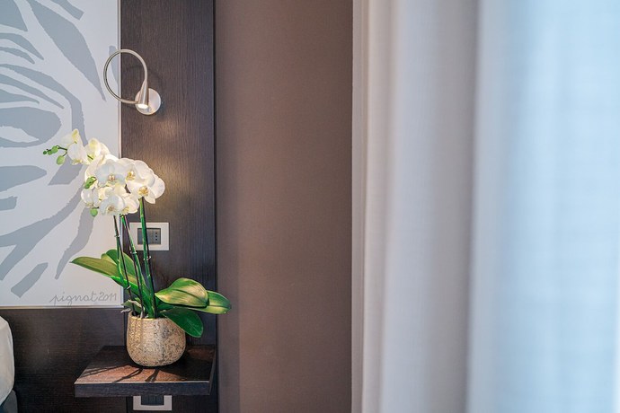 Imagen de la habitación del Hotel Franz. Foto 15