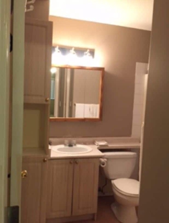 Imagen de la habitación del Hotel Fraser Bridge Inn And Rv Park. Foto 9