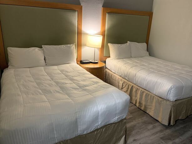 Imagen de la habitación del Hotel Fraser Inn. Foto 18