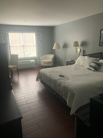 Imagen general del Hotel French Quarter Inn. Foto 9