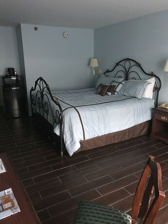 Imagen de la habitación del Hotel French Quarter Inn. Foto 13