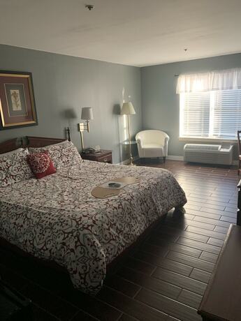 Imagen de la habitación del Hotel French Quarter Inn. Foto 14