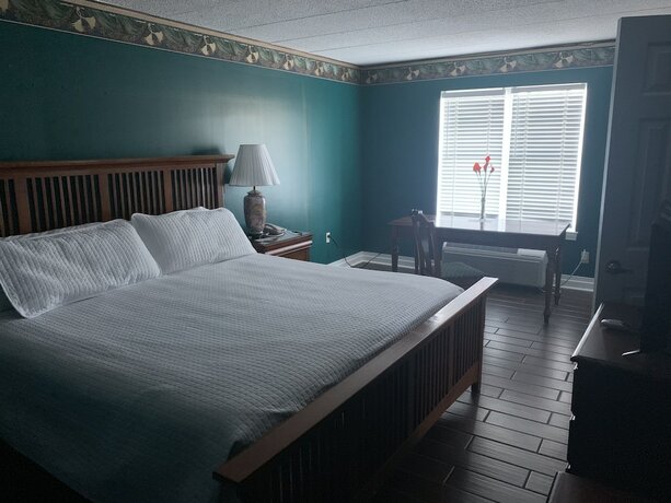 Imagen de la habitación del Hotel French Quarter Inn. Foto 20