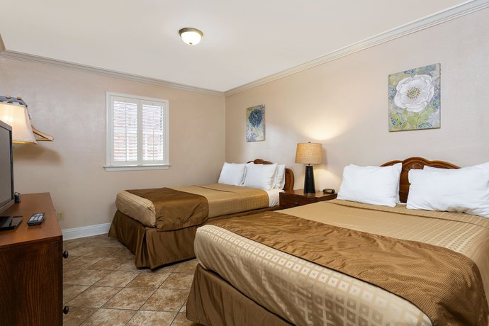 Imagen de la habitación del Hotel French Quarter Suites. Foto 9
