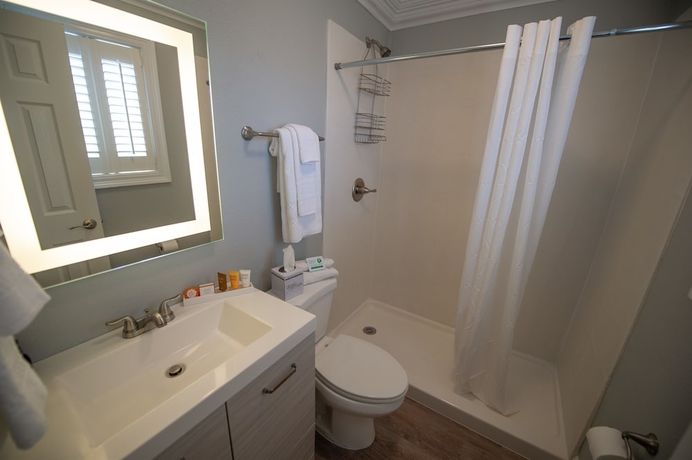 Imagen de la habitación del Hotel Frenchmen Orleans At 519, Ascend Collection. Foto 13