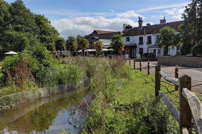 Imagen general del Hotel Frensham Pond Country House and Spa. Foto 5