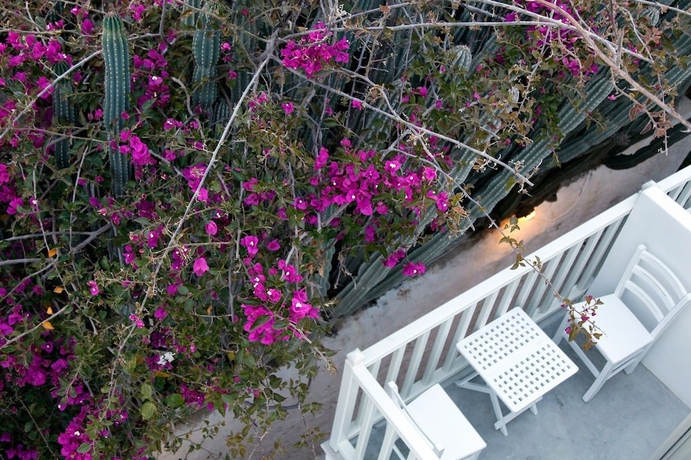 Imagen de la habitación del Hotel Fresh Boutique. Foto 9