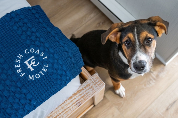 Imagen de la habitación del Hotel Fresh Coast Motel. Foto 10