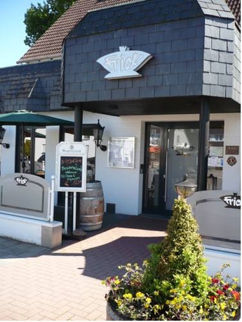 Imagen general del Hotel Frick's Hotel y Restaurant. Foto 4