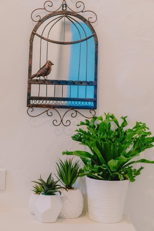 Imagen de la habitación del Hotel Frida Friday Boutique. Foto 17