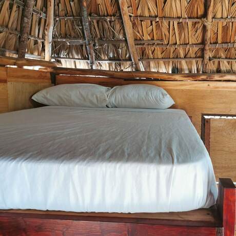Imagen de la habitación del Hotel Frida Paradise. Foto 18