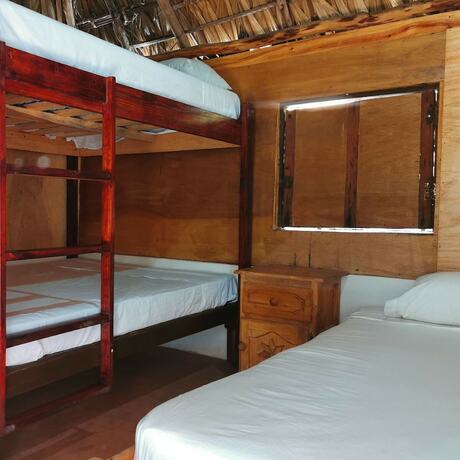 Imagen de la habitación del Hotel Frida Paradise. Foto 19