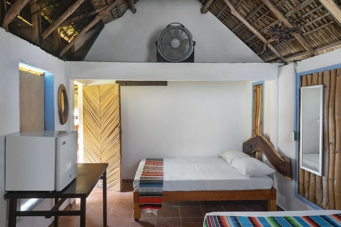 Imagen general del Hotel Fridas Paradise. Foto 6