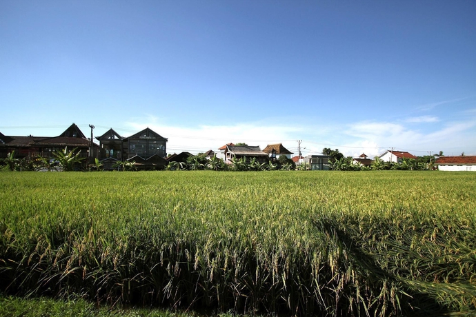 Imagen de los exteriores del Hotel Frii Bali Echo Beach. Foto 16