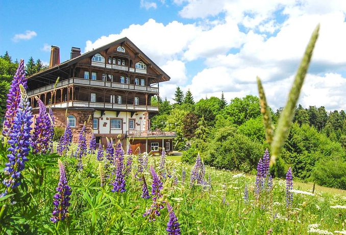 Imagen general del Hotel Fritz Lauterbad. Foto 14