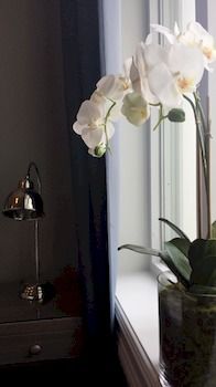 Imagen general del Hotel Frogner House Apartments - Ingkognitogata 26. Foto 15