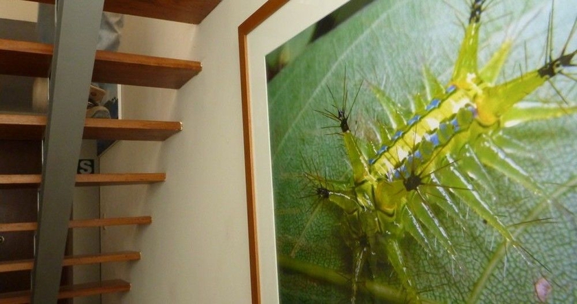 Imagen de los interiores del Hotel Froguesthouse. Foto 14