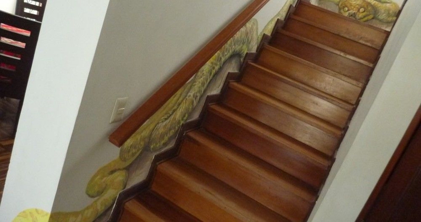Imagen de los interiores del Hotel Froguesthouse. Foto 16