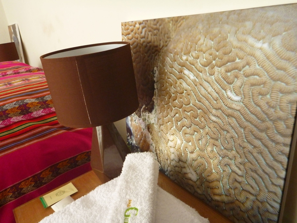 Imagen de la habitación del Hotel Froguesthouse. Foto 9