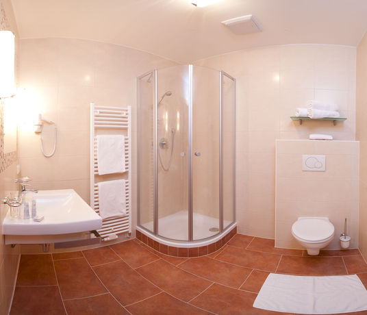 Imagen de la habitación del Hotel Fr&uuml;hst&uuml;ckshotel Birkenhof. Foto 3
