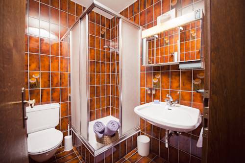 Imagen de la habitación del Hotel Fr&uuml;hst&uuml;ckshotel Montana. Foto 14