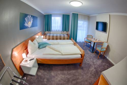 Imagen de la habitación del Hotel Fr&uuml;hst&uuml;ckshotel Waldbauer. Foto 9