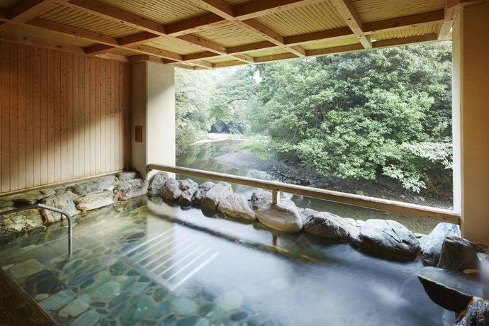 Imagen de los interiores del Hotel Fudouguchikan. Foto 4