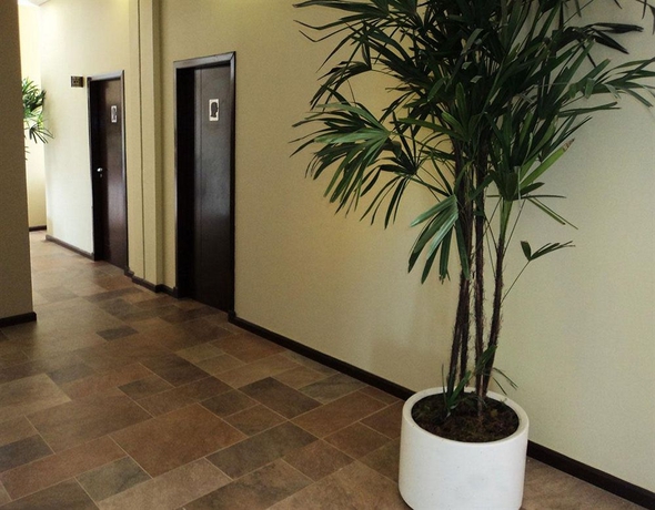 Imagen de los interiores del Hotel Fuente Mayor and Resort. Foto 10