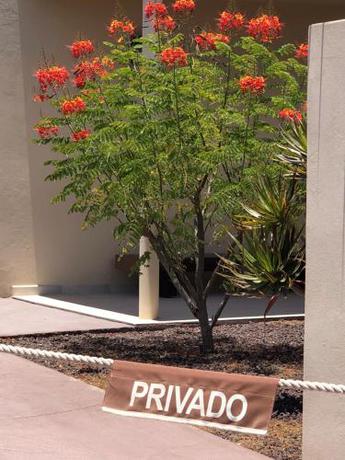 Imagen general del Hotel Fuertevillage. Foto 14