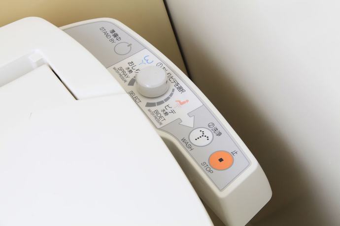 Imagen de la habitación del Hotel Fuji Green. Foto 11