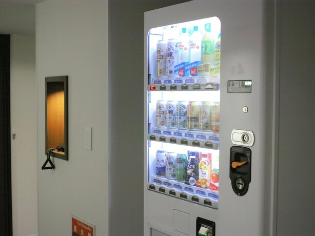 Imagen general del Hotel Fujieda Park Inn. Foto 11