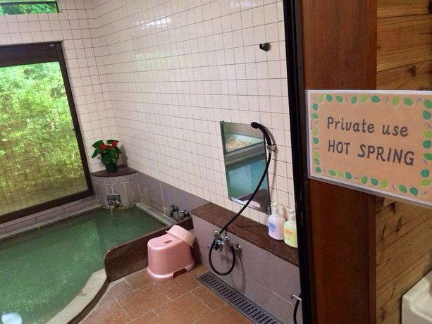 Imagen de la habitación del Hotel Fuji-hakone Guest House. Foto 3